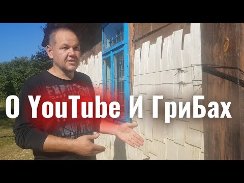 Видео: О YouTube И ГриБах