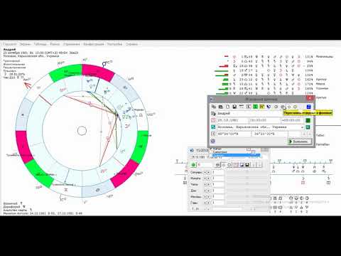 Видео: Разбор соляра (брак, покупка жилья, учеба, работа)