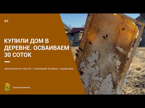 Видео: КУПИЛИ ДОМ В ДЕРЕВНЕ И 30 СОТОК / Расхламляем дом / Первые работы на участке / Нашли мёд