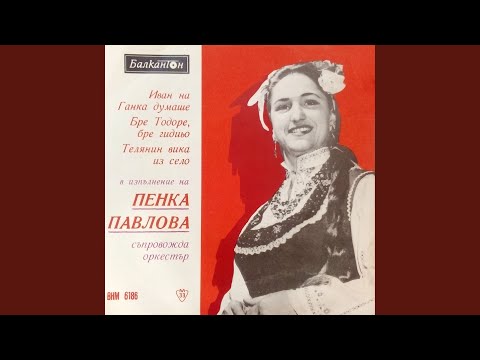 Видео: Бре Тодоре, бре Гидиьо