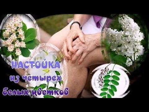 Видео: БОЛЯТ КОЛЕНИ.КРУТИТ СУСТАВЫ. АРТРИТ,АРТРОЗ,ОСТЕОХОНДРОЗ - 4 белых цветка вот наше спасение от боли