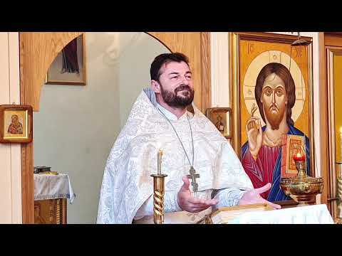 Видео: Перед Вознесением и о слепорождённом | Вячеслав Рубский