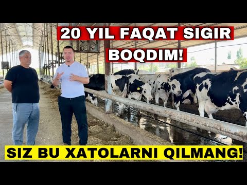 Видео: 20 Йилдан Бери Факат Сигир Бокаман! Сут Йуналишида Катта Ферма Килиш Кийинми?