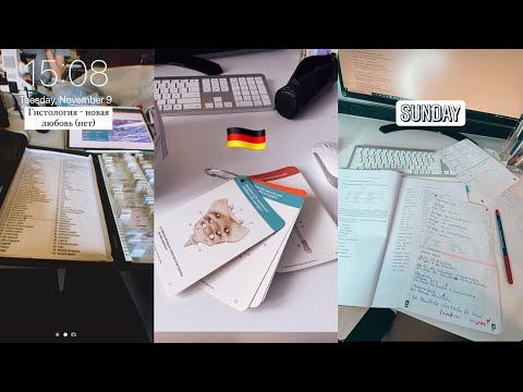Видео: студ. влог #1: медицинский ВУЗ в Германии, study with me