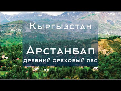 Видео: Природа Кыргызстана. Арстанбап. Серия 2. Что интересного?