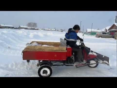 Видео: Муравей чистит снег