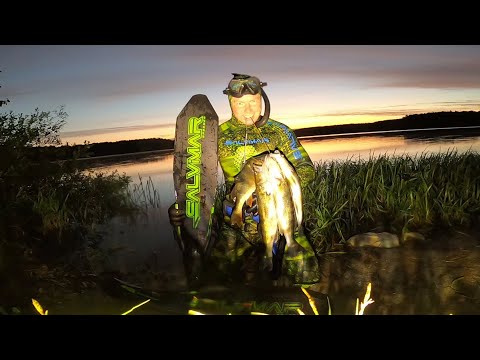 Видео: Подводная Охота 2022  " СУДАКИ НА ГНЕЗДАХ ". Ночная охота в забытом месте. Судак, Окунь, Щука.