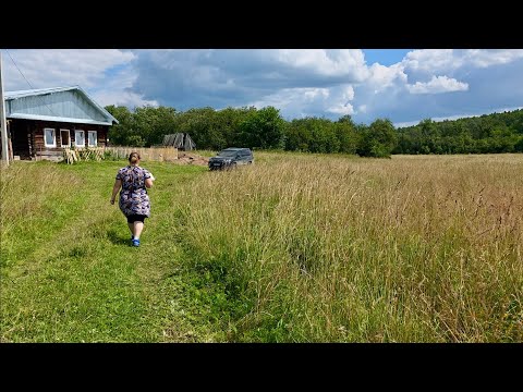 Видео: Ремонт дома в уральской глубинке | Дверь в старый дом в деревне | Подготовка клубники к зиме