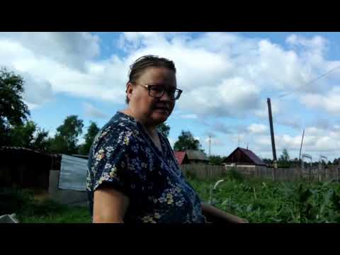 Видео: Просто обычный день.Жара.🌞🌞.
