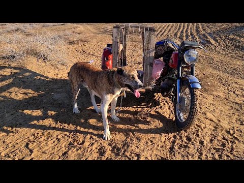 Видео: Гēк Депе поле Большевик - Турнир.