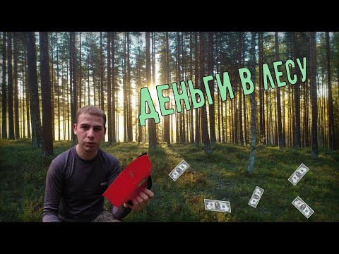 Видео: ГРЕБУ ДЕНЬГИ "ЛОПАТОЙ" В ЛЕСУ!!! СЕЗОННЫЙ ЗАРАБОТОК!