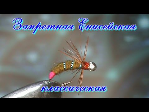 Видео: Запретная Енисейская Классика