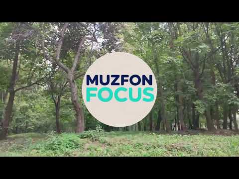 Видео: Музыка для работы | Фоновая музыка без мата без слов @MUZFONFOCUS