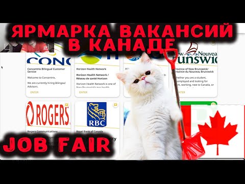 Видео: Ярмарка вакансий в Канаде||JOB FAIR IN CANADA