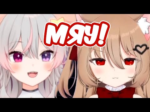 Видео: ЗЛАЯ НЕЙРО-САМА АГРЕССИВНО МЯУКАЕТ!