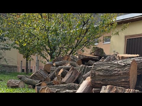 Видео: Дрова на зиму /Home  Work/ Робочі будні/Осінь/Autumn #subscribe