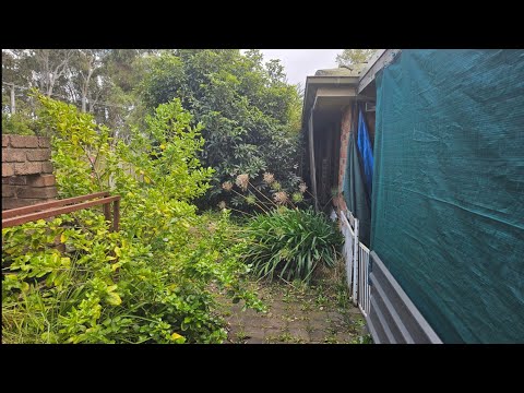 Видео: ПОЛНОСТЬЮ СПАСЕН ДВОР, часть 1 - 15 лет ПРЕНЕБРЕЖЕНИЯ!