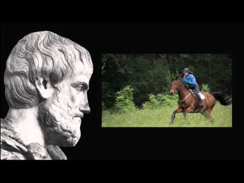 Видео: Інерція