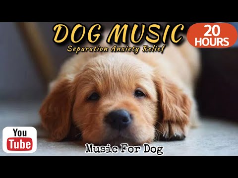 Видео: 20 часов любимой музыки собак🐶💖Музыка для сна собак 🐶🎵 Музыка для снятия беспокойства при разлуке🎵