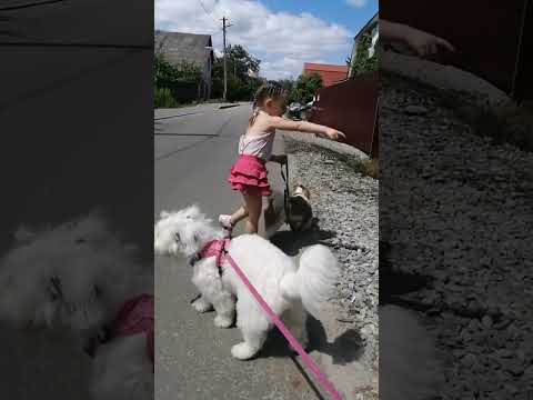 Видео: Миновали годы ( Друг мой) Геннадий Хазанов