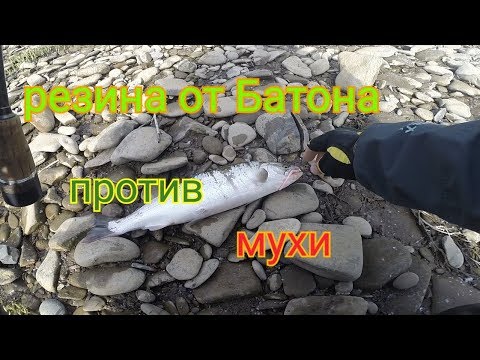 Видео: Ловля симы на резину от Батона и мушку .