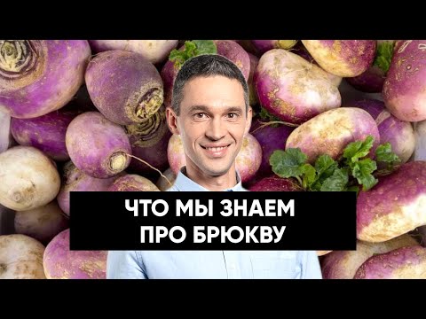 Видео: ЧТО МЫ ЗНАЕМ ПРО БРЮКВУ