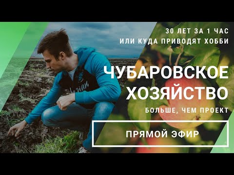 Видео: Прямой эфир «Чубаровское хозяйство. Больше, чем проект» // 29.06.2020