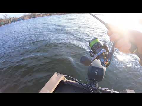 Видео: Первое знакомство с  CRAZY FISH Arion ASRE832LS 3-15