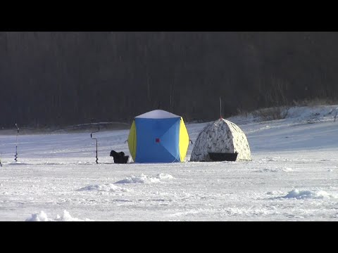 Видео: ПОНЕСЛАСЬ! ЛОВЛЯ ЛЕЩА на БЕЗМОТЫЛКУ! Зимняя рыбалка на РЕКЕ. #Зимняярыбалка #лещ #безмотылка