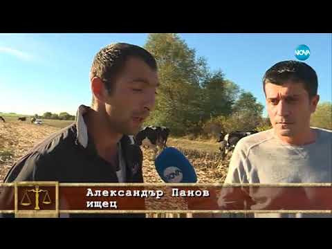 Видео: Съдебен спор - Епизод 489 - Осъдиха ме за побой (21.10.2017)