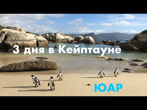 Видео: Кейптаун и 5* отель The Cellars-Hohenort