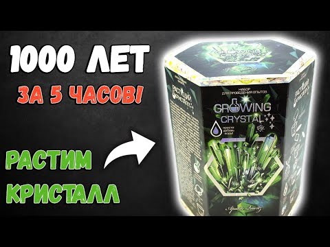 Видео: Выращиваем кристалл из набора. Ускоренный рост кристалла: 1000 лет за 5 часов.