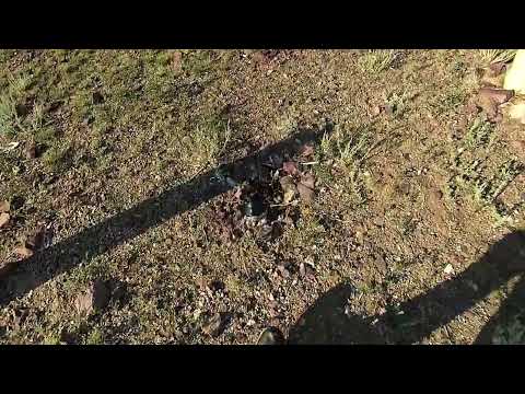 Видео: Правобережная часть города Темиртау.