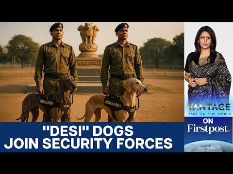 Видео: Собаки местных пород Индии присоединяются к силам безопасности, премьер-министр Моди приветствует...