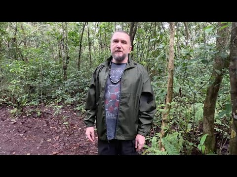 Видео: Орангутанги. Индонезия. Часть 1.