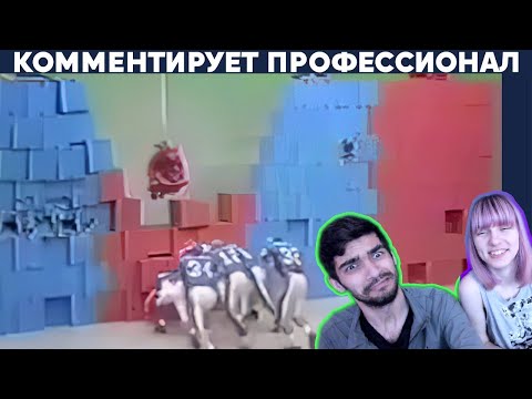 Видео: БИТВЫ СТЕН ИЗ КОРОБОК В ЯПОНИИ ➤ Yuri The Professional - Реакция / Грин и Несси