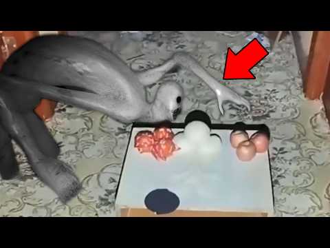 Видео: Шокирующие кадры, которые невозможно объяснить! Топ 30 страшных видео
