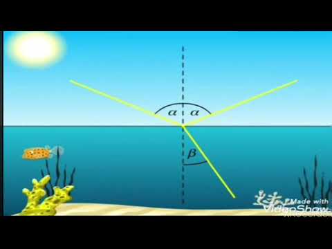 Видео: Жарықтың сыну заңы 8 сынып Физика