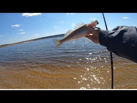 Видео: Рыбалка на спиннинг в мае с берега Волга 2022