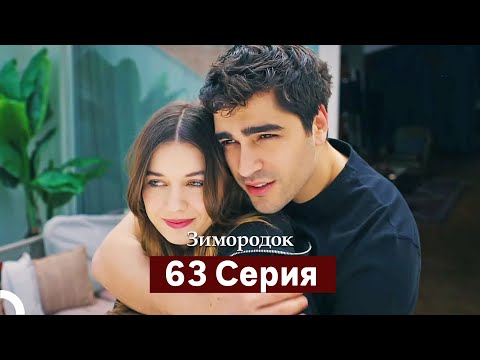 Видео: Зимородок 63 Cерия (Русский дубляж)