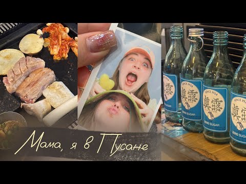 Видео: Первый день в Пусане | vlog