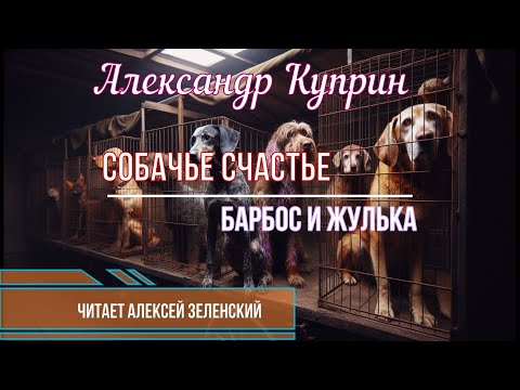 Видео: Александр  Куприн  "Собачье счастье",  "Барбос и Жулька"  читает Алексей Зеленский