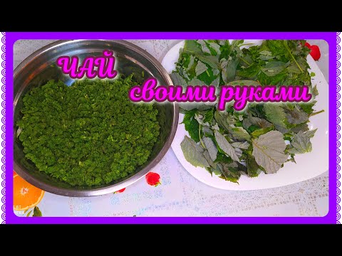 Видео: ЧАЙ ИЗ ЛИСТЬЕВ МАЛИНЫ И СМОРОДИНЫ! АРОМАТ ВПЕЧАТЛЯЕТ!