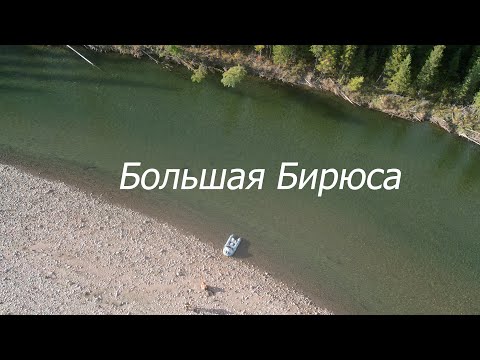 Видео: Большая Бирюса