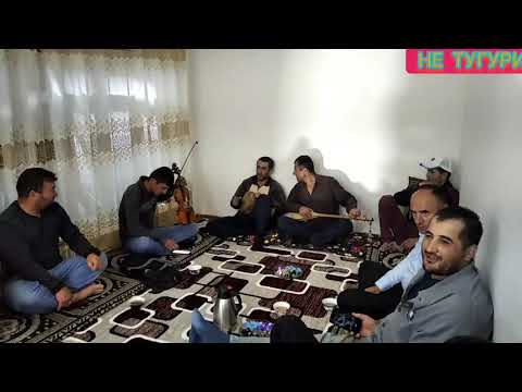 Видео: ХОНА БАЗМ ШАМОЛ КОБЛИ  САТОР