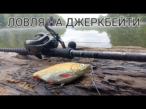 Видео: Перша літня риболовля. Тест нових приманок. Зустріч з козулею.Big baits.(без риби).