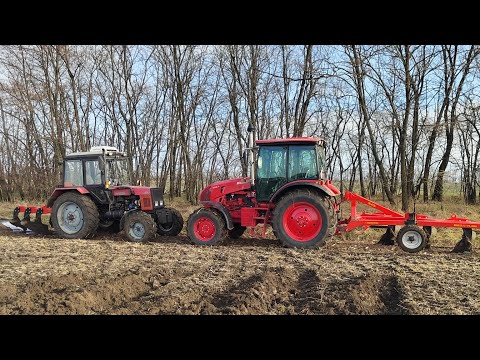 Видео: Пахота после кукурузы двумя МТЗ.