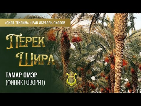 Видео: 🎻 ПЕРЕК ШИРА. Шират hа-Брия (Песнь Творения). Урок 27. Рав Исраэль Якобов