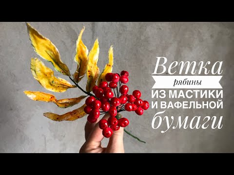 Видео: Ветка рябины из мастики и вафельной бумаги.Готовим кондитерский лак