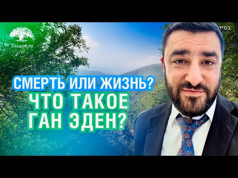 Видео: Кто и как попадает в рай? (Рав Исраэль Якобов) Цикл: Жизнь после жизни